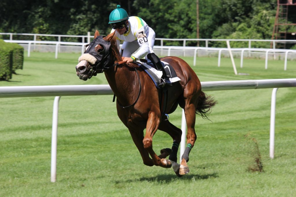 競馬で投資運用を始める「競馬投資の検証日記」