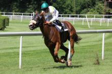 競馬で投資運用を始める「競馬投資の検証日記」