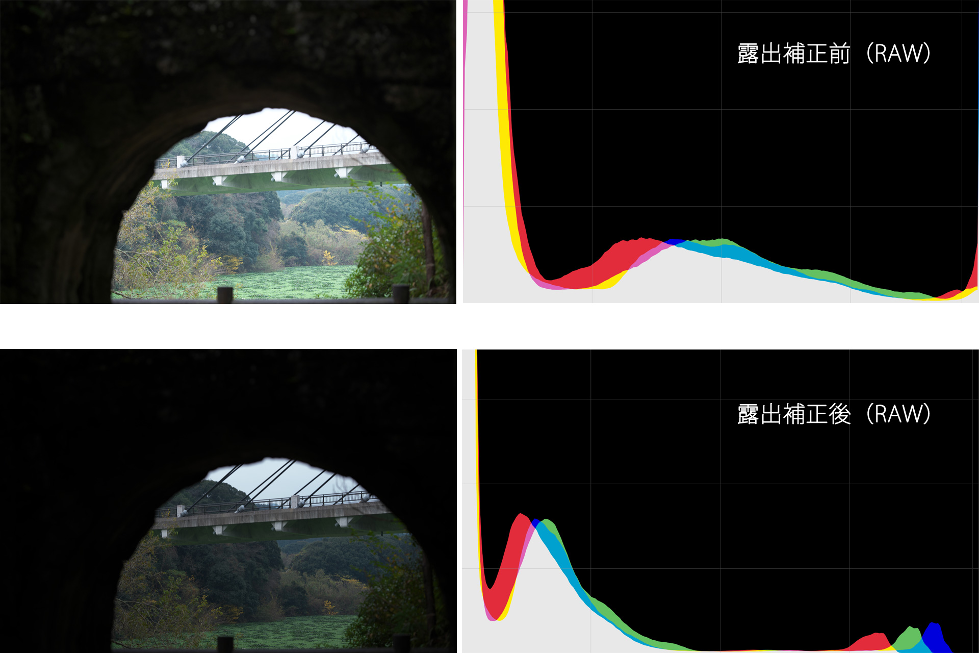 フォト 動画の 白飛び 黒つぶれの要因と対策方法 ヒストグラム活用 32arts サニーアーツ